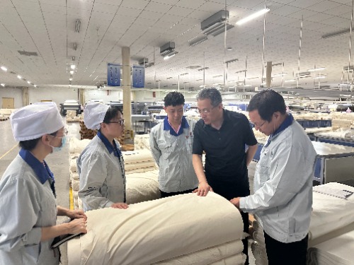 常山集團黨委副書記、副董事長、總經(jīng)理楊瑞剛赴恒盛分公司督導(dǎo)調(diào)研